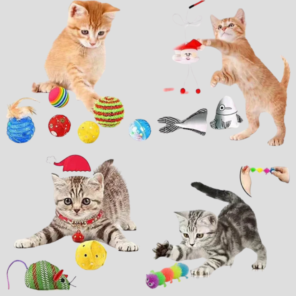 24-Day Cat Advent Calendar Interactive Toy Set