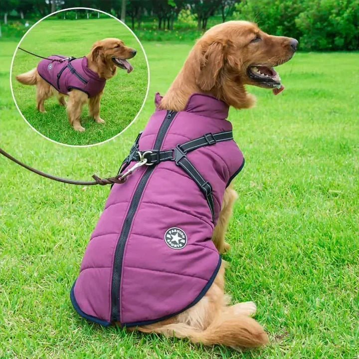 3-In-1 Warm, Waterproof, and Windproof Dog Winter Coat with Built-In Harness