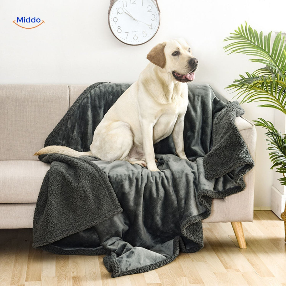 Blanket | Waterproof, Soft Cotton Corduroy, Discreet Protection