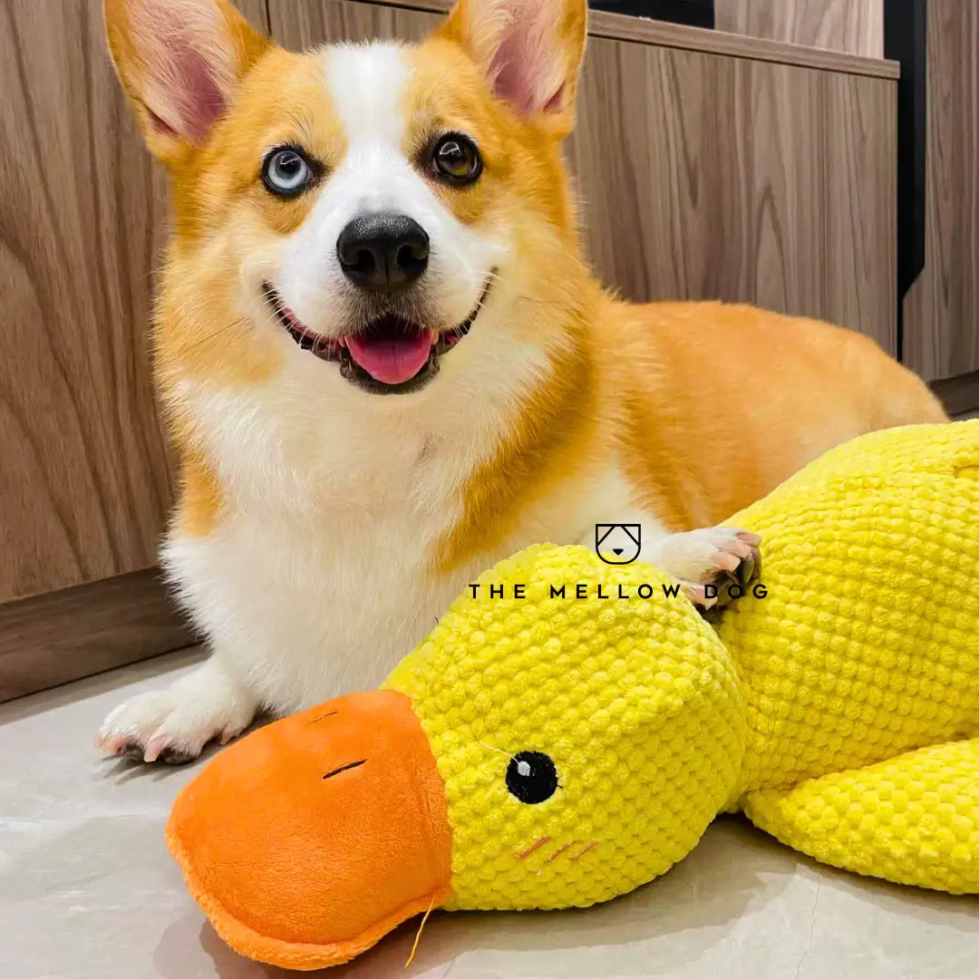 Calming Duck Toy for Dog Happiness and Well-Being