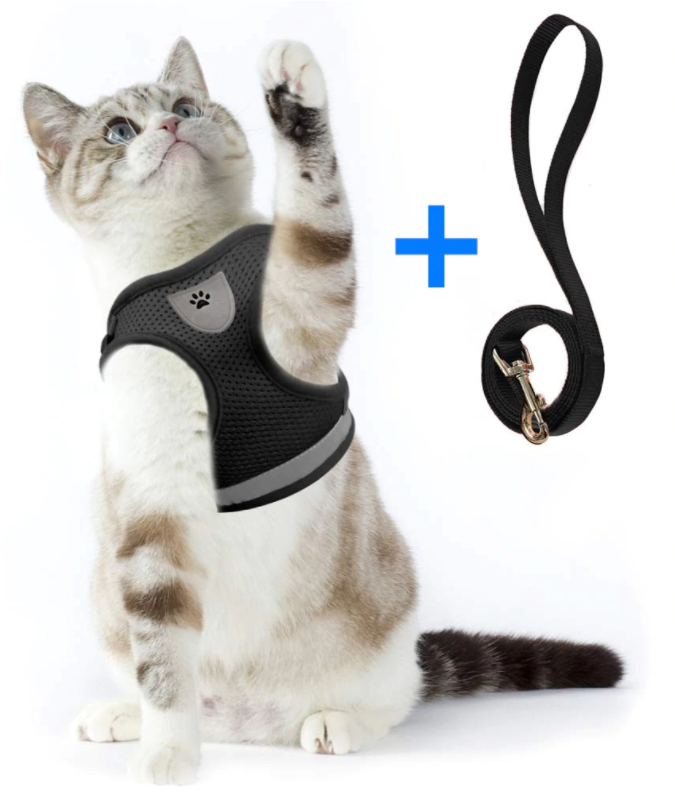 Cat Harness with Leash
