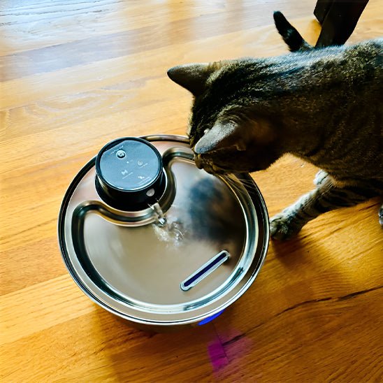 Cat Water Fountain | Wireless Fountain