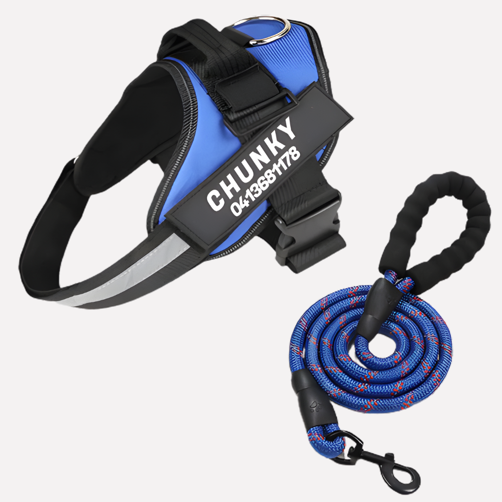 Customizable No-Pull Dog Harness Vest with Front Clip