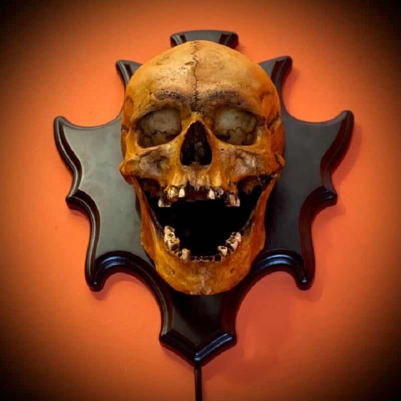 Decorative Wall-Mounted Skull Lamp for Spooky Ambiance