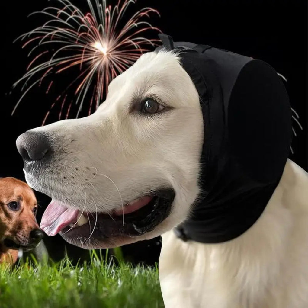 Dog Ear Plugs for Anxiety and Noise