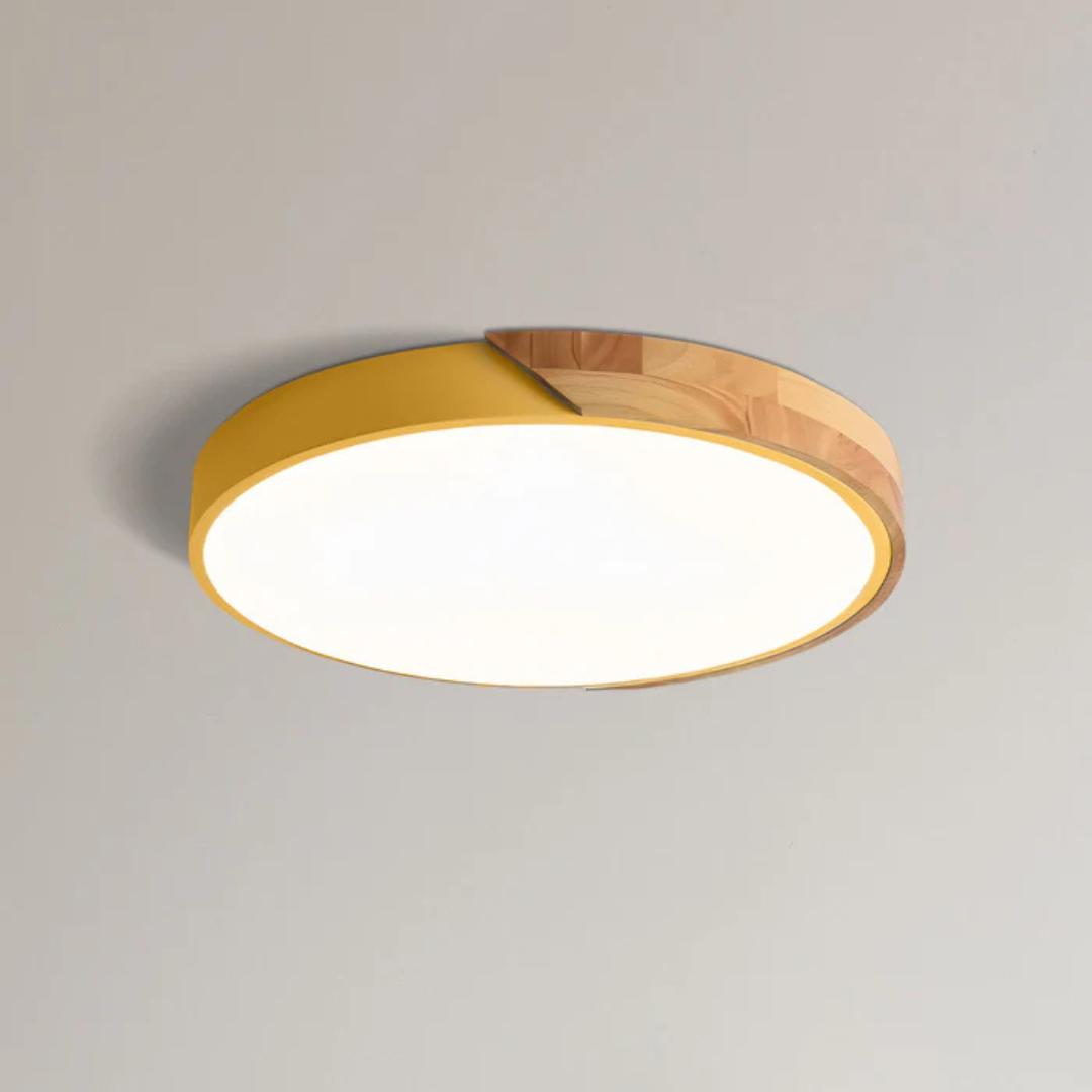 Elegant Scandinavian Style LED Ceiling Light