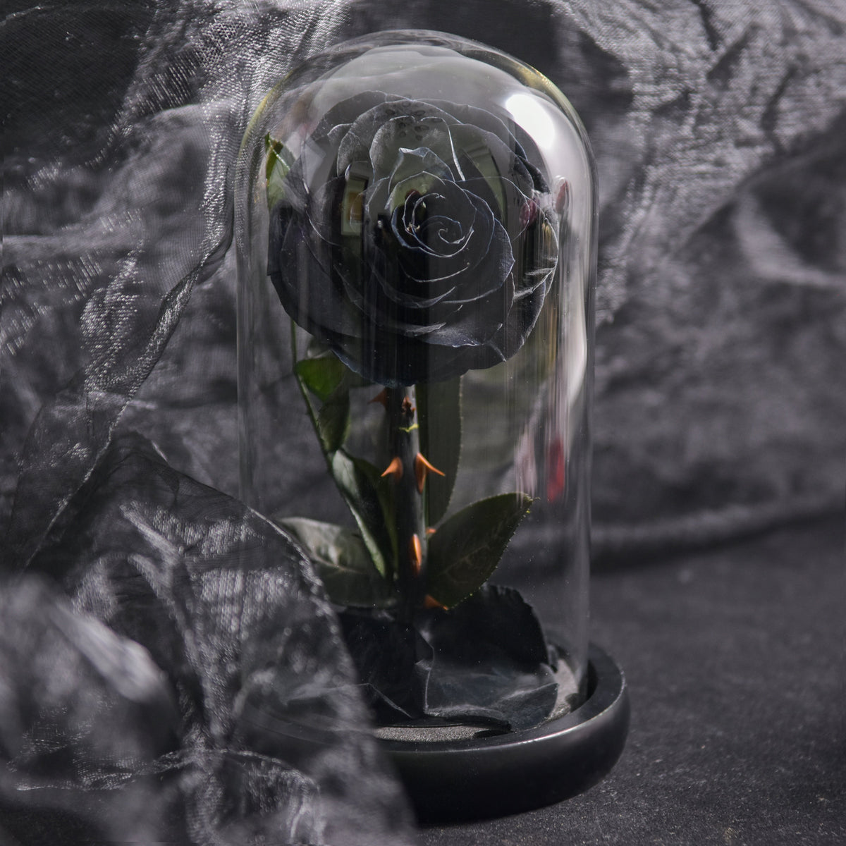 Eternal Rose in Glass Dome