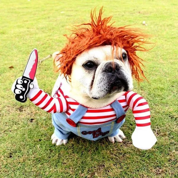 Funny and Scary Pet Halloween Costume