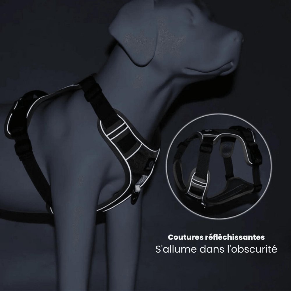 High-Quality No-Pull Dog Harness