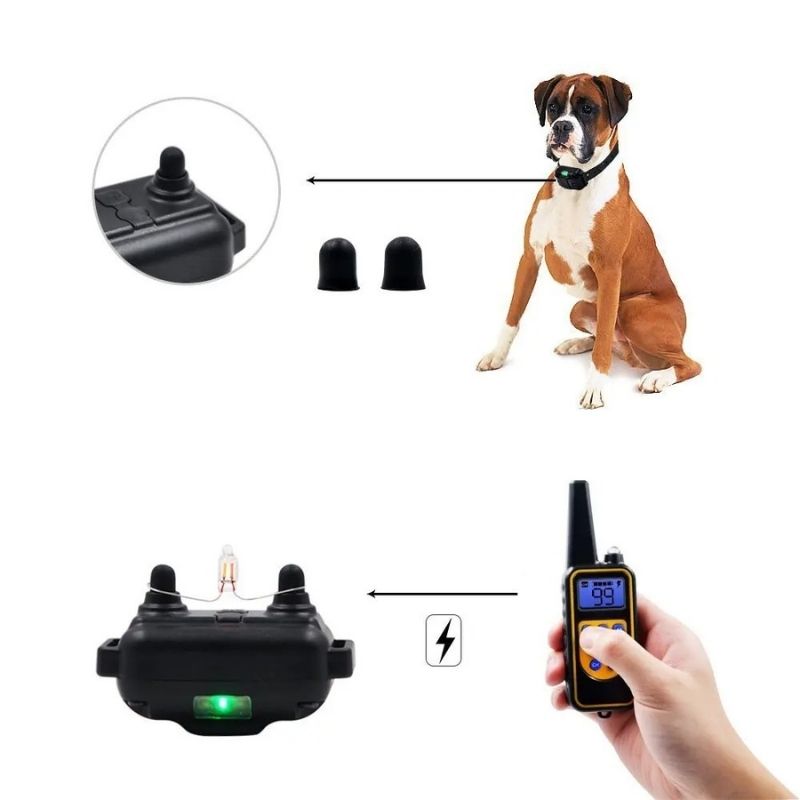 Hunting Dog Training Collar