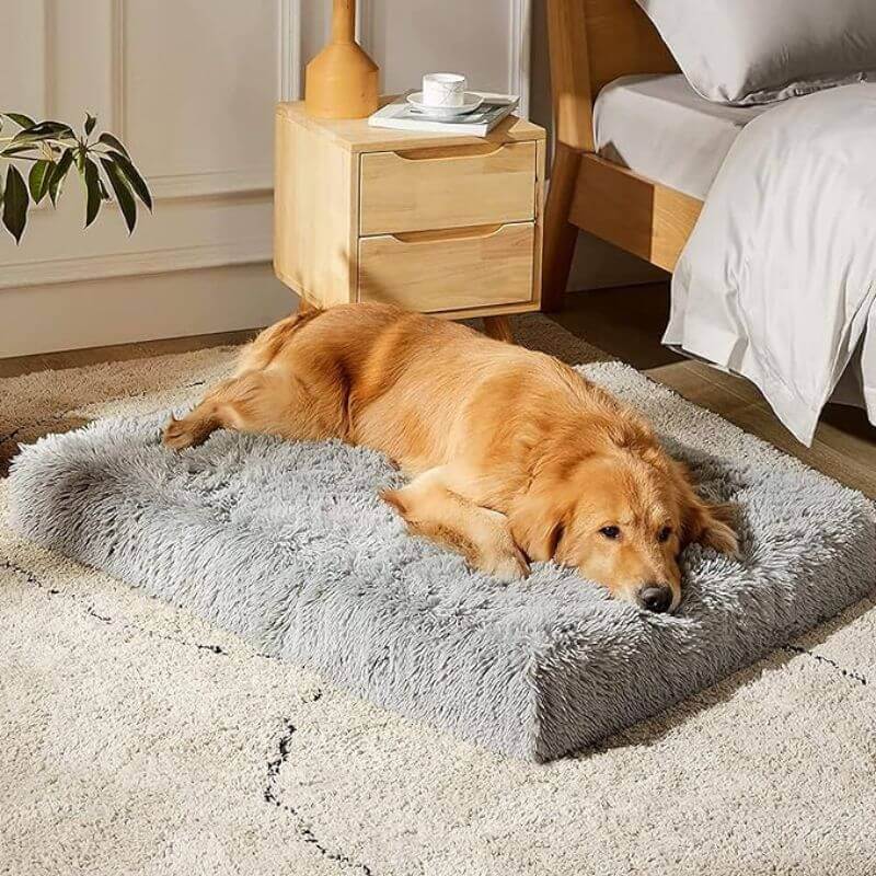 Orthopedic Dog Pillow - Brown