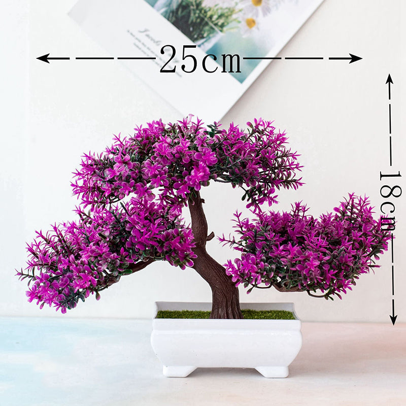 Potted Bonsai Plant