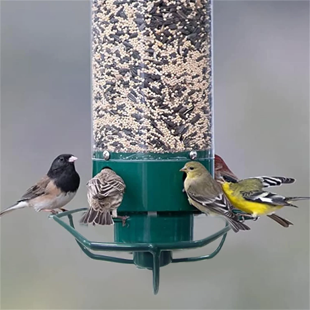 Squirrel-Proof Metal Hanging Tube Bird Feeder for Garden and Outdoor Use