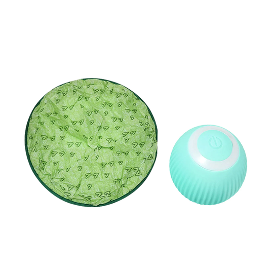 2-In-1 Simulated Interactive Hunting Toy