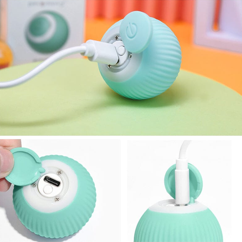 2-In-1 Simulated Interactive Hunting Toy