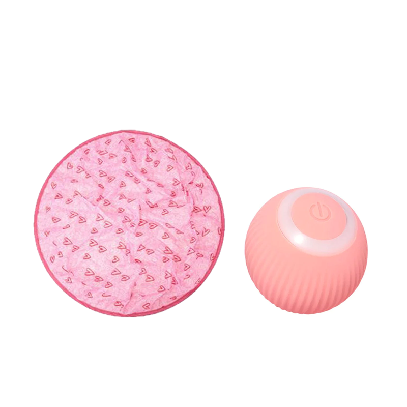 2-In-1 Simulated Interactive Hunting Toy
