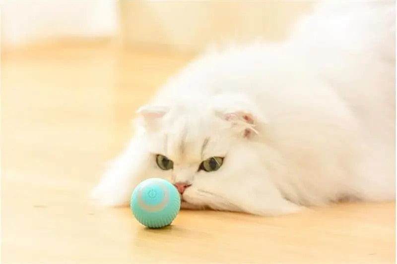 2-In-1 Simulated Interactive Hunting Toy