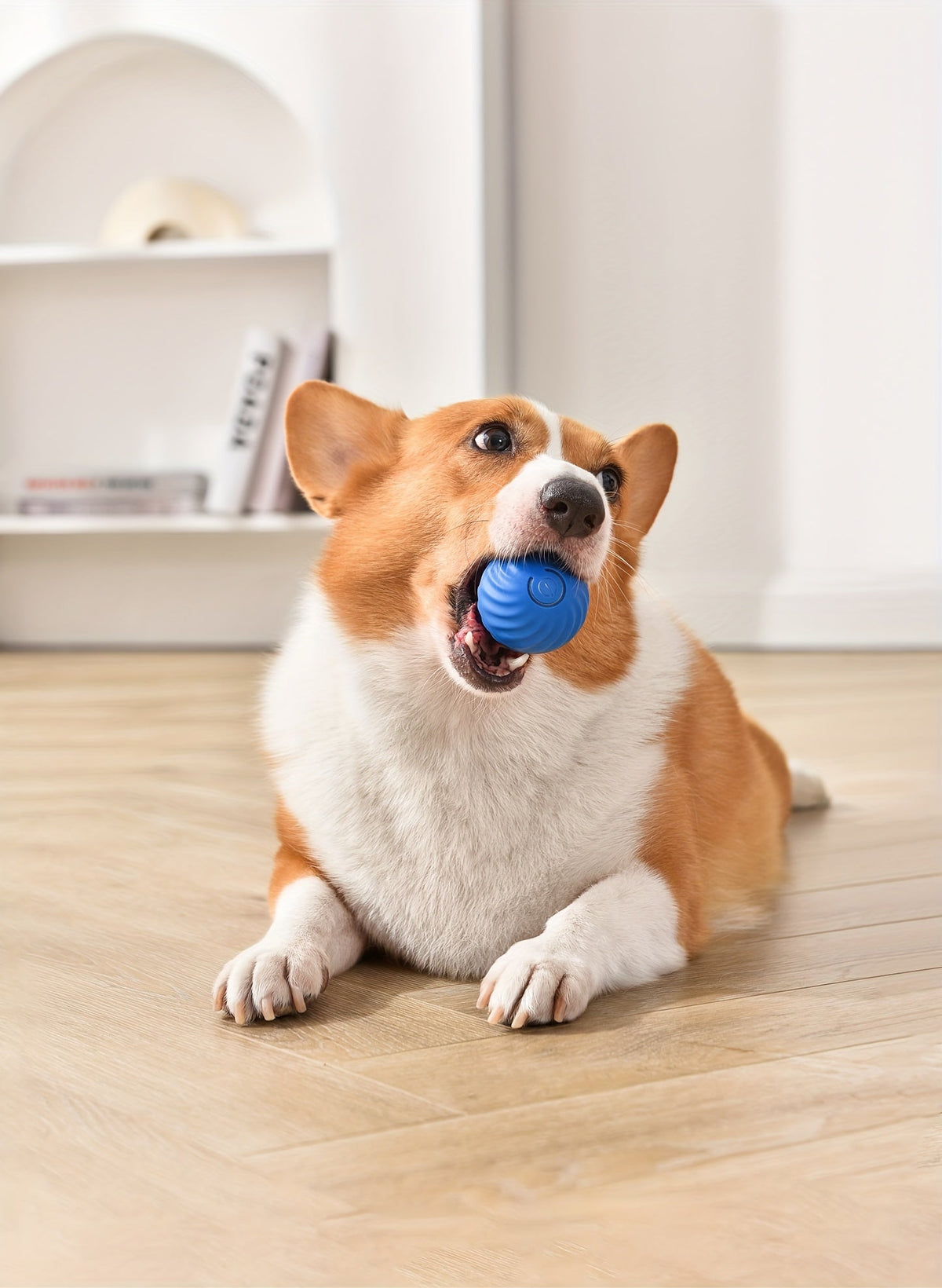 2-In-1 Simulated Interactive Hunting Toy