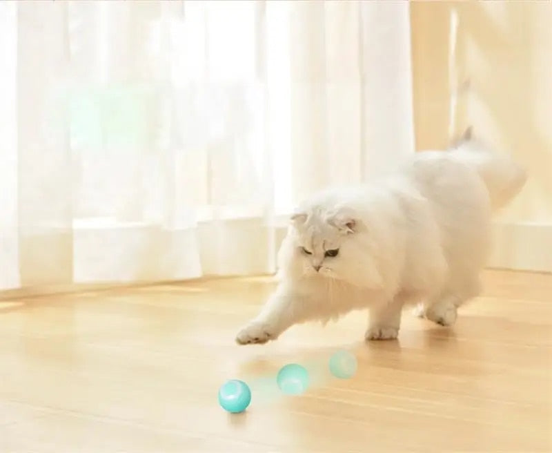 2-In-1 Simulated Interactive Hunting Toy