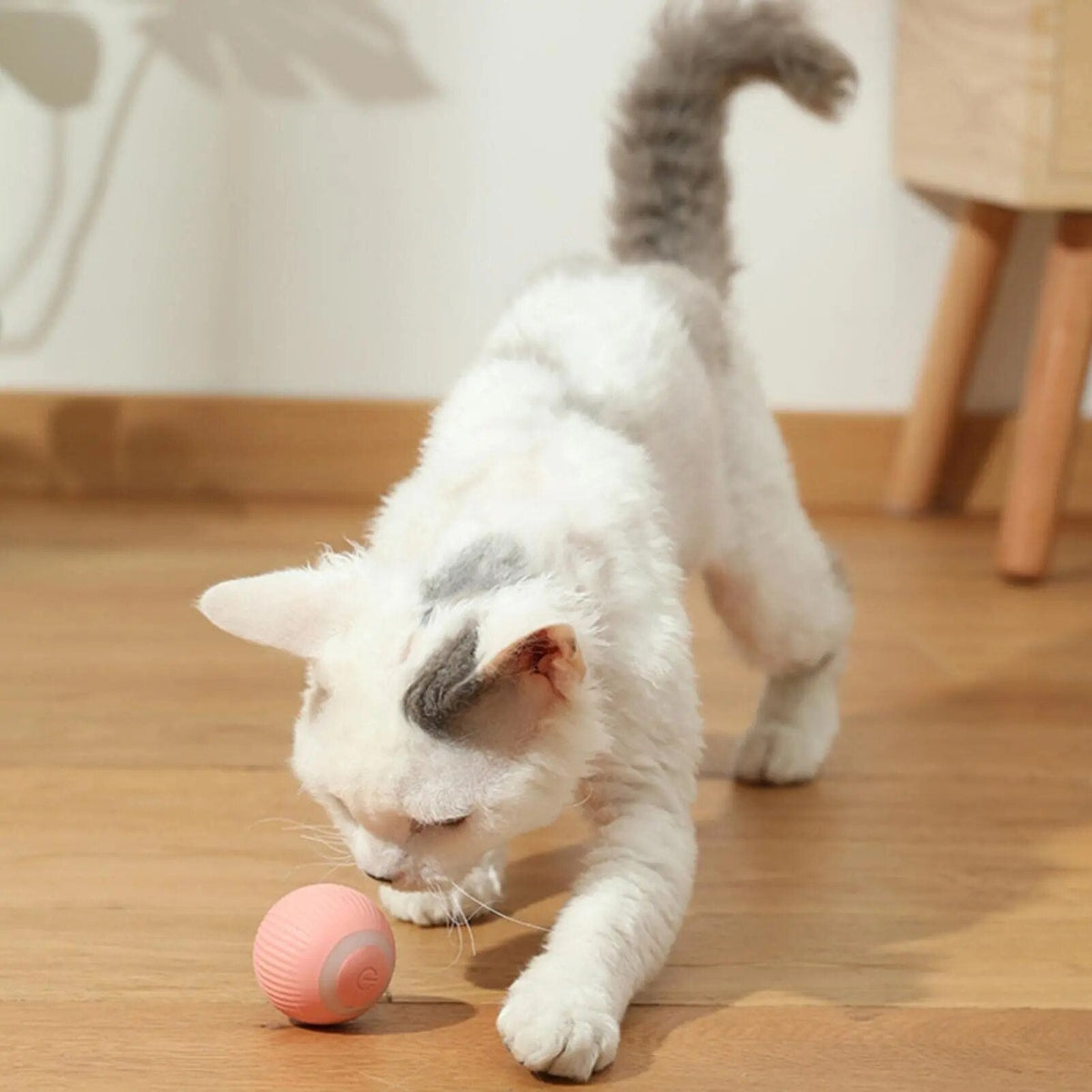 2-In-1 Simulated Interactive Hunting Toy