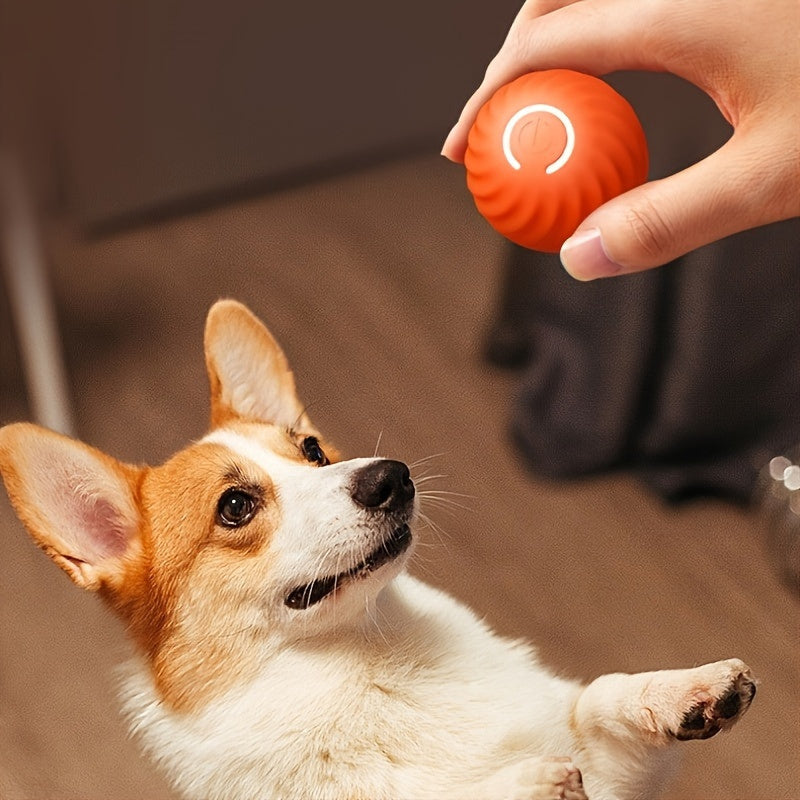 2-In-1 Simulated Interactive Hunting Toy