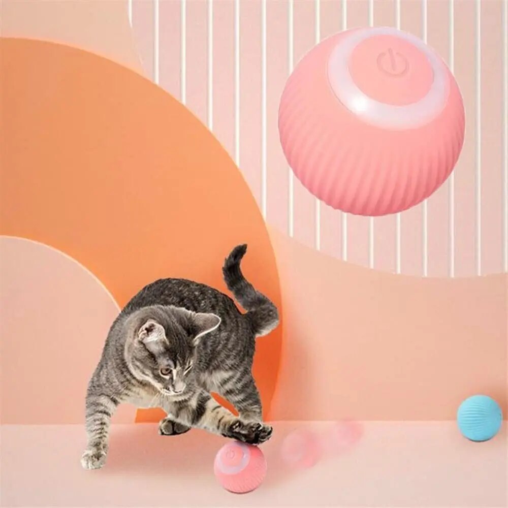 2-In-1 Simulated Interactive Hunting Toy