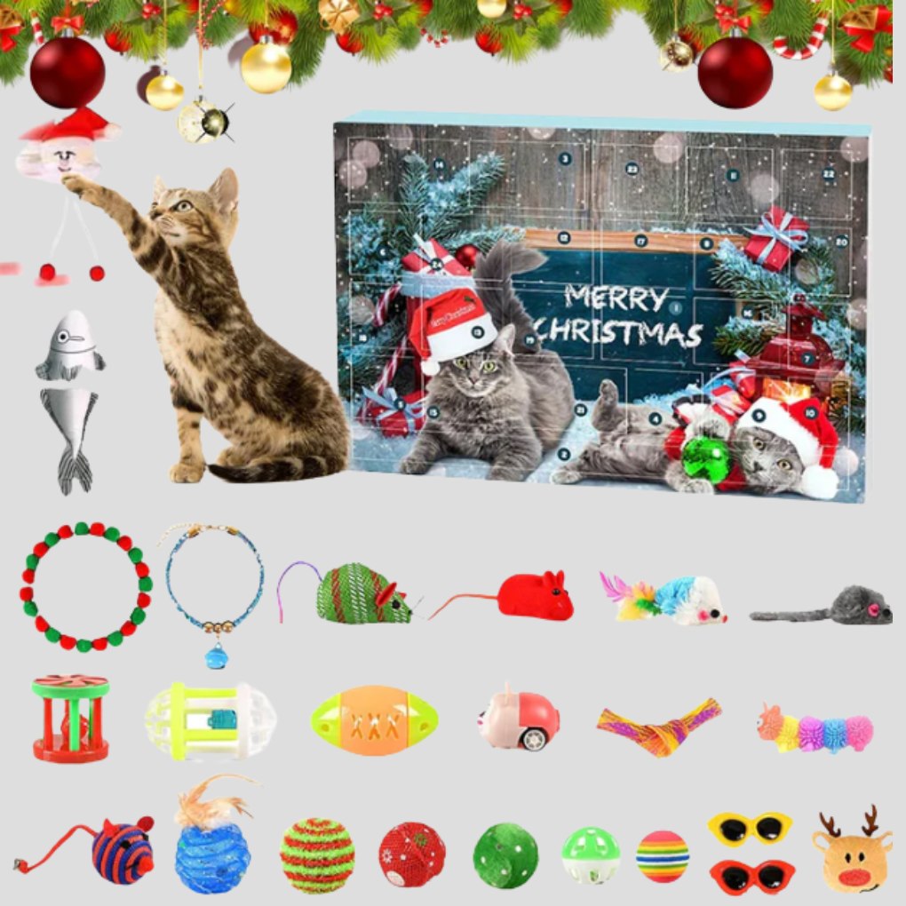 24-Day Cat Advent Calendar Interactive Toy Set