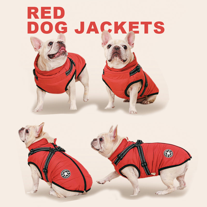 3-In-1 Warm, Waterproof, and Windproof Dog Winter Coat with Built-In Harness