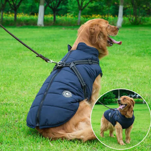 3-In-1 Waterproof and Wind-Resistant Winter Dog Jacket