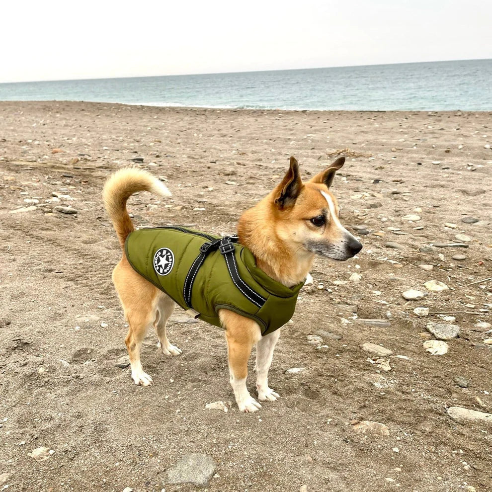 3-In-1 Waterproof and Wind-Resistant Winter Dog Jacket