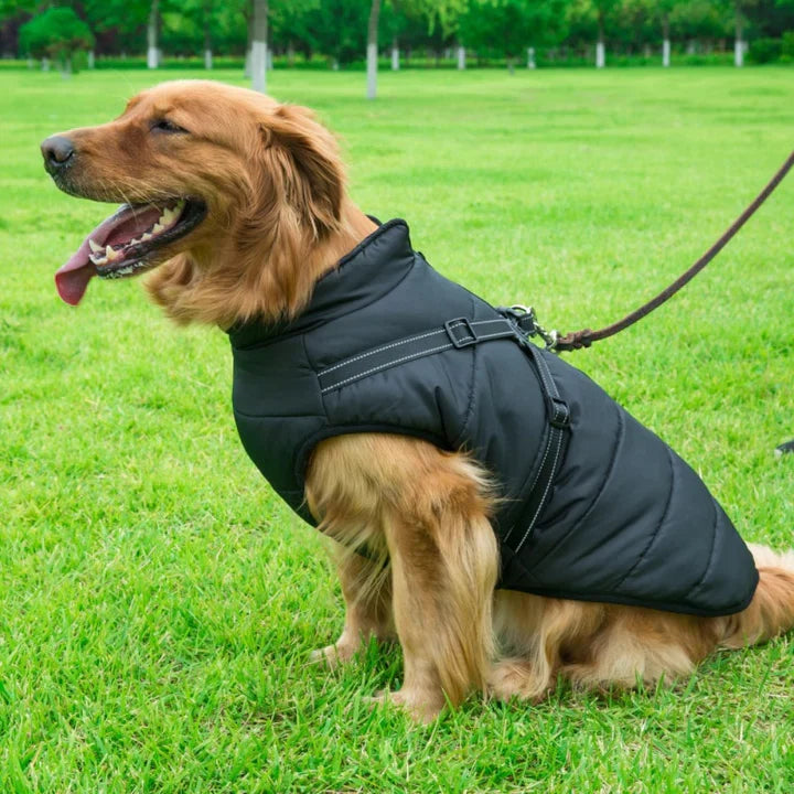3-In-1 Waterproof and Wind-Resistant Winter Dog Jacket