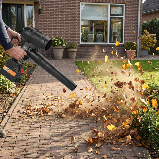4-In-1 Leaf, Snow, and Dust Blower
