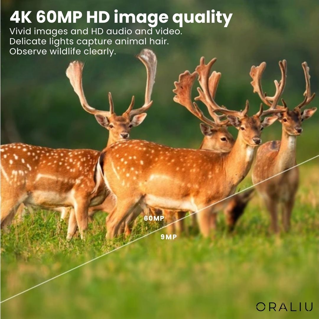 4K Ultra HD 60MP Wildlife Camera with App Control
