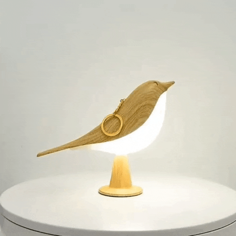 A lamp that brings nature, light and peace to your home