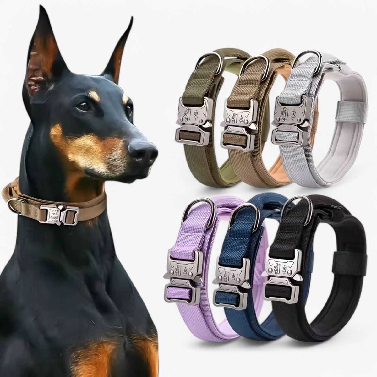 Adjustable Heavy-Duty Waterproof Nylon Dog Collar with Ergonomic Handle for Medium and Large Dogs