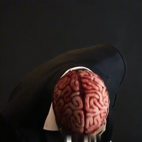 Adults' Halloween Mask - Realistic Skeleton with Exposed Brain