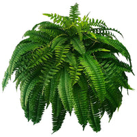 Artificial Boston Fern for Indoor and Outdoor Use