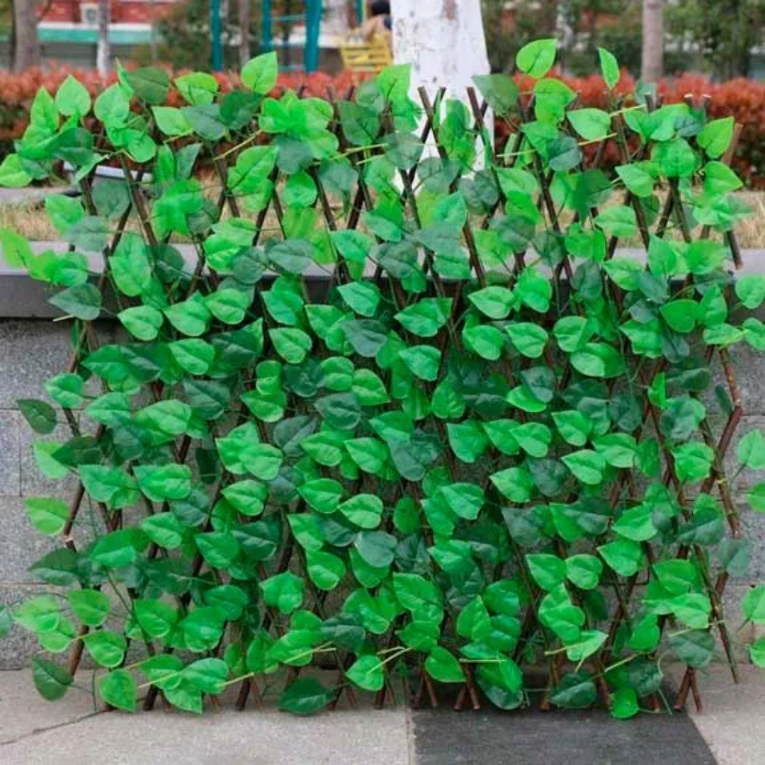 Artificial Ivy Privacy Hedge in Green for Immediate Privacy