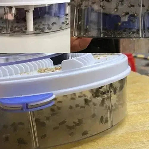 Automatic Fly Trap