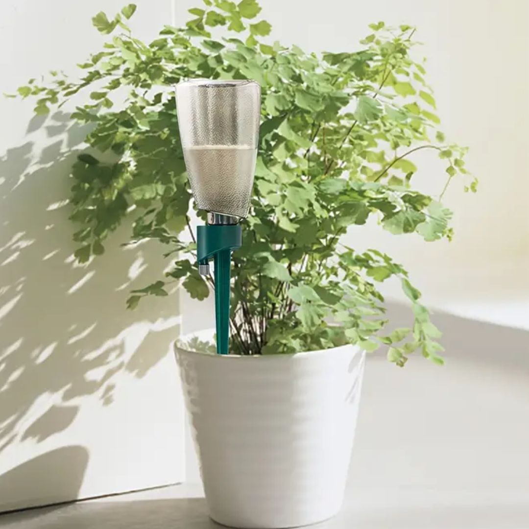 Automatic Plant Waterer