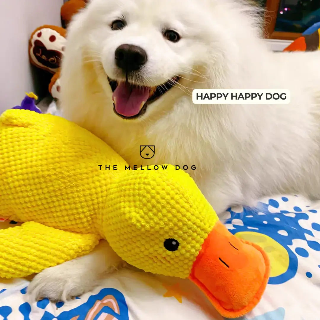 Calming Duck Toy for Dog Happiness and Well-Being