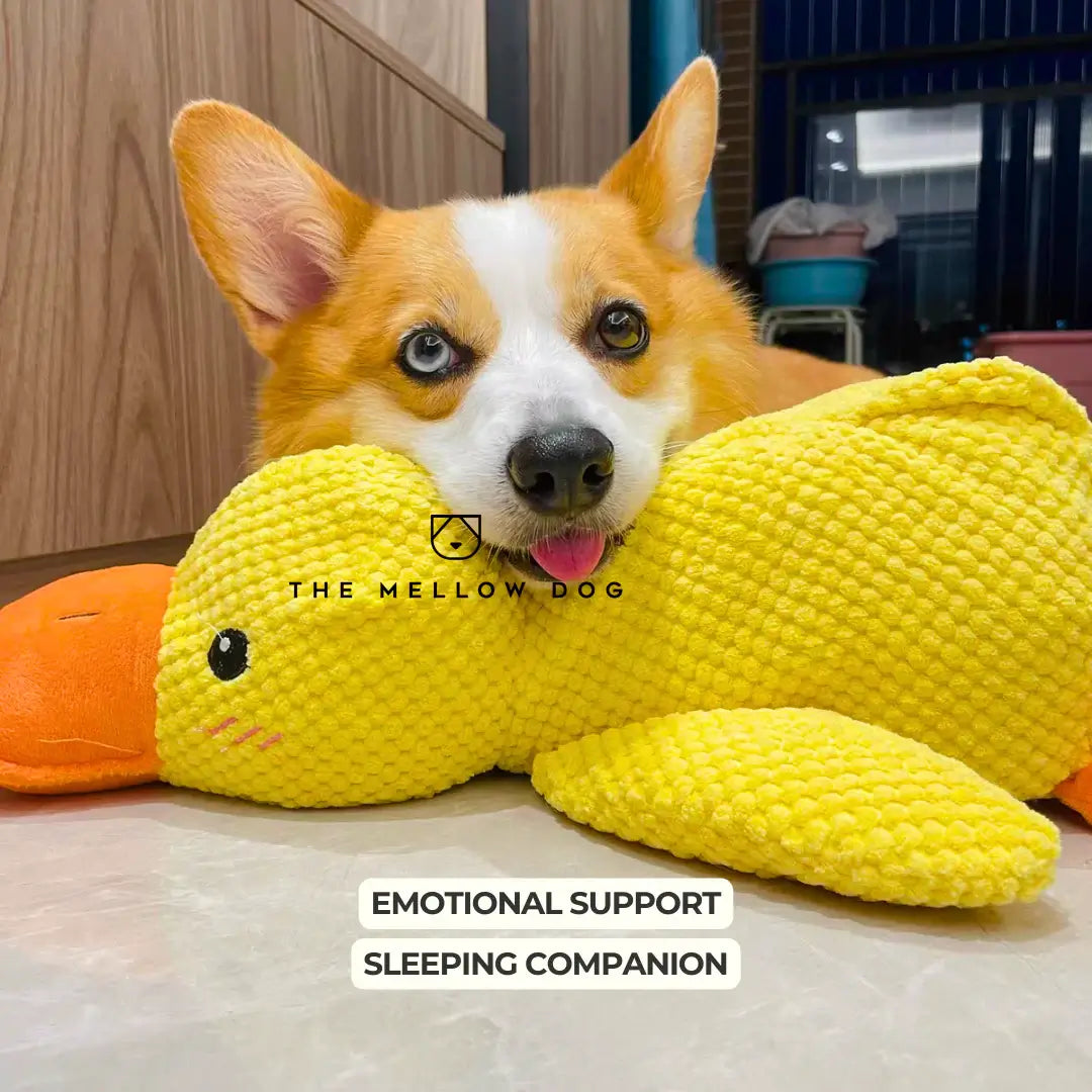 Calming Duck Toy for Dog Happiness and Well-Being