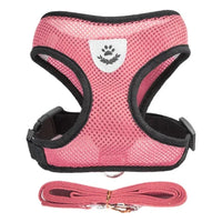 Cat and Dog Harness and Leash Set
