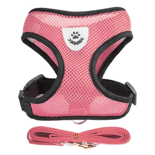 Cat and Dog Harness and Leash Set