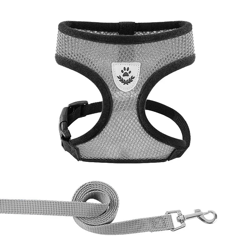 Cat and Dog Harness and Leash Set