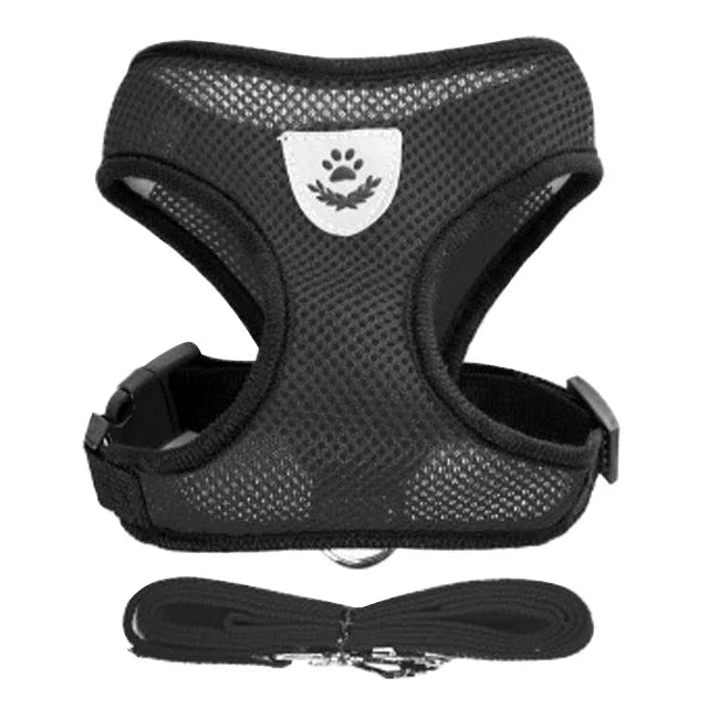 Cat and Dog Harness and Leash Set