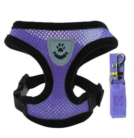 Cat and Dog Harness and Leash Set