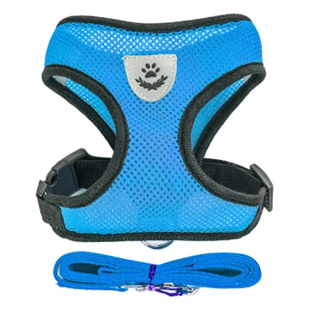 Cat and Dog Harness and Leash Set