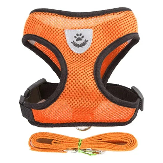 Cat and Dog Harness and Leash Set
