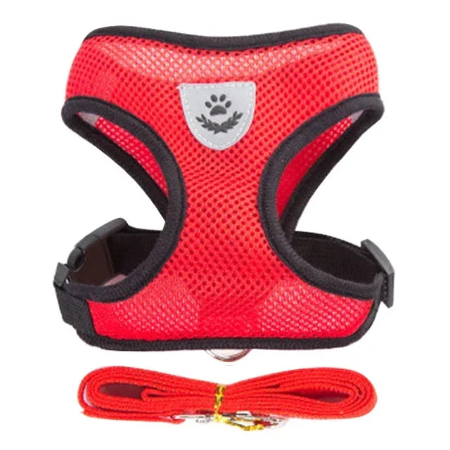 Cat and Dog Harness and Leash Set